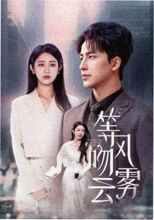韩剧大片免费观看 财阀家的小儿子 复仇